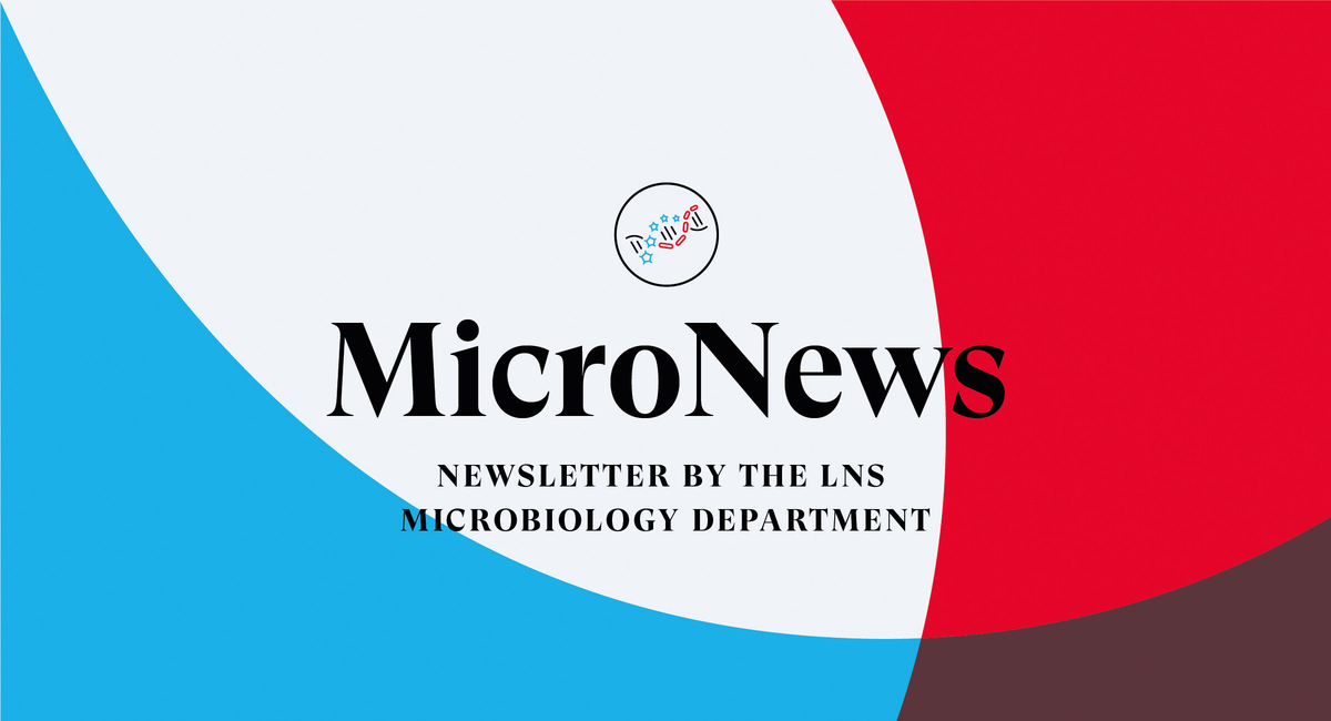 MicroNews Data Processing
