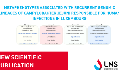 LNS Microbiology New Publication: Metaphenotypes associated with recurrent genomic lineages of Campylobacter jejuni responsible for human infections in Luxembourg