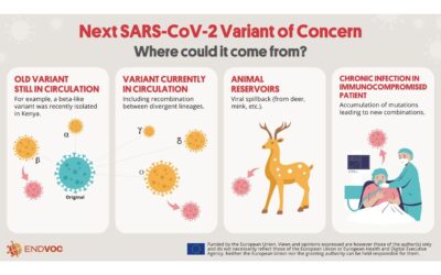 Where could the next COVID-19 variant of concern come from?